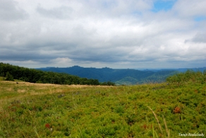 hyrlata2012c Hyrlata, Wielka Polana (foto: P. Szechyński)