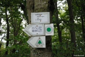 hyrlata2012g Hyrlata (foto: P. Szechyński)