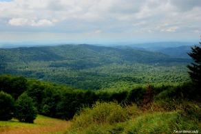 hyrlata2012h Hyrlata, widok na pasmo graniczne (foto: P. Szechyński)