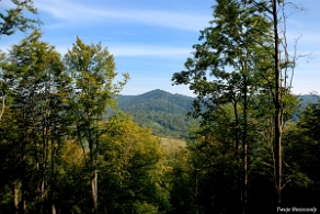 hyrlata2016a Szlak niebieski na Hyrlatą od strony Żubraczego, widok na Wysoki Dział (foto: P. Szechyński)