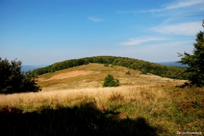 hyrlata2016b Hyrlata, Wielka Polana (foto: P. Szechyński)