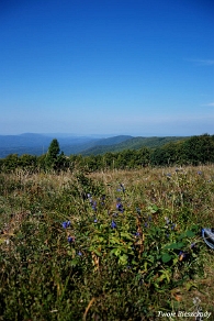 hyrlata2016e Hyrlata, widok w kierunku południowo-zachodnim (foto: P. Szechyński)