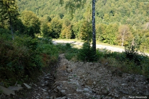 hyrlata2016h Hyrlata, zejście niebieskim szlakiem do drogi Solinka - Żubracze (foto: P. Szechyński)