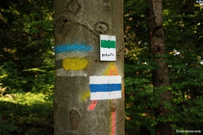 hyrlata2016i Hyrlata, znaczki szlaku GPS z Cichej Wody oraz niebieskiego PTTK (foto: P. Szechyński)