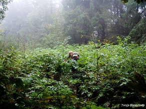 kinczyk2005d Pod Piniaszkowym, 2005 (foto: P. Szechyński)