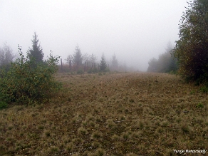 kinczyk2005i Okolice Opołonka, z lewej tzw. sistiema, 2005 (foto: P. Szechyński)