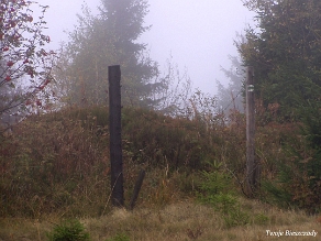 kinczyk2005j Okolice Opołonka, tzw. sistiema, 2005 (foto: P. Szechyński)