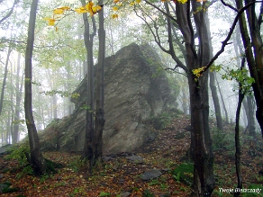 kinczyk2005m Skała Dobosza pod Opołonkiem, 2005 (foto: P. Szechyński)