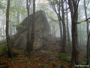 kinczyk2005n Skała Dobosza pod Opołonkiem, 2005 (foto: P. Szechyński)