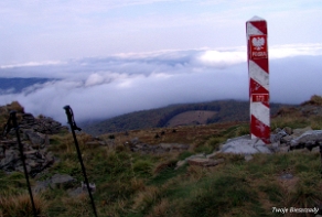 kinczyk2005z6 Kińczyk Bukowski, 2005 (foto: P. Szechyński)