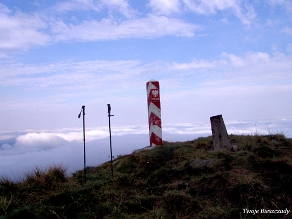 kinczyk2005z7 Kińczyk Bukowski, 2005 (foto: P. Szechyński)