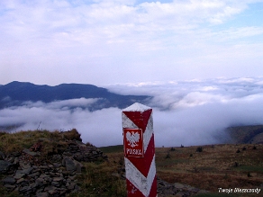 kinczyk2005z8 Kińczyk Bukowski, 2005 (foto: P. Szechyński)