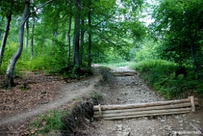 riaba2012a Wetlina, początek szlaku na Riabą Skałę (foto: P. Szechyński)