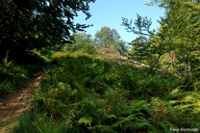 riaba2012c Paportna, 1198 m n.p.m. (foto: P. Szechyński)