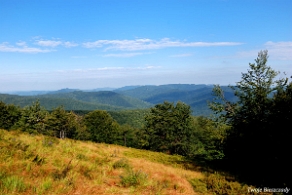 riaba2012d Paportna, 1198 m n.p.m. widok w kierunku północnym (foto: P. Szechyński)