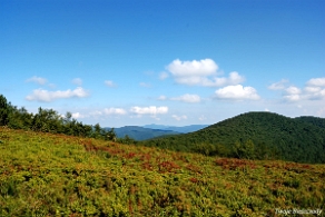 riaba2012f Czaszczowata czyli Riaba a wcześniej Rabia Skała, 1199 m n.p.m. (foto: P. Szechyński)