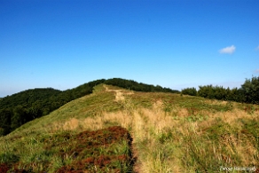 riaba2012g Czaszczowata czyli Riaba a wcześniej Rabia Skała, 1199 m n.p.m. (foto: P. Szechyński)