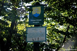 riaba2012i Riaba Skała, urwisko, 1167 m n.p.m. (foto: P. Szechyński)