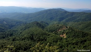 riaba2012j1 Riaba Skała, urwisko, widok na stronę słowacką (foto: P. Szechyński)