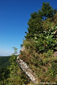 riaba2012l Riaba Skała, urwisko, (foto: P. Szechyński)