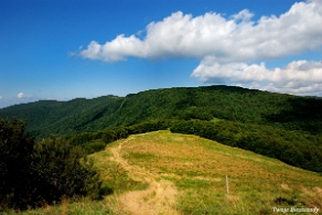 riaba2012p Riaba Skała, od strony Przełęczy pod Czerteżem (foto: P. Szechyński)
