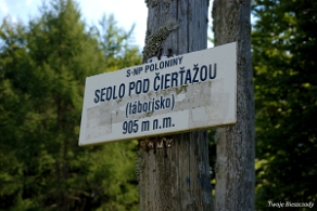 riaba2012s Przełęcz pod Czerteżem (foto: P. Szechyński)