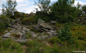 riaba2012z Kamienna Łuka (foto: P. Szechyński)