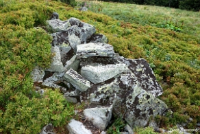 riaba2012z1 Kamienna Łuka (foto: P. Szechyński)