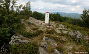 riaba2012z2 Kamienna Łuka (foto: P. Szechyński)