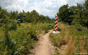 riaba2012z7 Krzemieniec, szlak w stronę Wielkiej Rawki (foto: P. Szechyński)