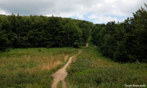 riaba2012z9 Krzemieniec, szlak w stronę Wielkiej Rawki (foto: P. Szechyński)