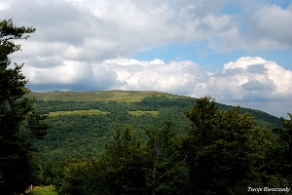 riaba2012z9a Wielka Rawka ze szlaku od strony Krzemieńca (foto: P. Szechyński)