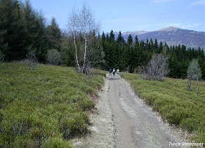 rawki2003c Bacówka pod Małą Rawką, szlak na Małą Rawkę, 2003 (foto: P. Szechyński)