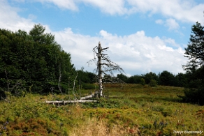 rawki2012m Szlak przez Dział z Małej Rawki do Wetliny (foto: P. Szechyński)