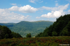 rawki2012n Szlak przez Dział z Małej Rawki do Wetliny (foto: P. Szechyński)