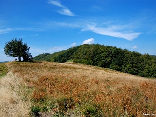 Jasło i Okrąglik Jasło wraz z Okrąglikiem, zdjęcia ze szlaków a także Przełęcz nad Roztokami