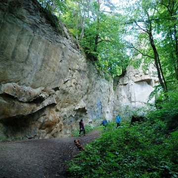 leski2017d Kamień Leski (foto: P. Szechyński)