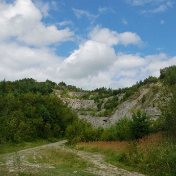 koziniec2010b Kamieniołom na Kozińcu (foto: P. Szechyński)