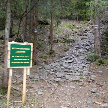 goloborze2003a Rabe, rezerwat "Gołoborze", 2003 (foto: P. Szechyński)