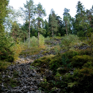 goloborze2016d Rabe, rezerwat "Gołoborze", 2016 (foto: P. Szechyński)