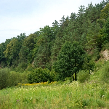 skalam2018f Skała Myczkowiecka (foto: P. Szechyński)