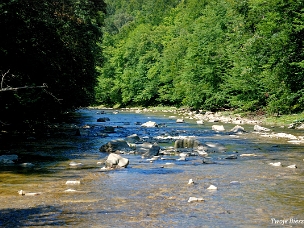 Rezerwat Przełom Osławy pod Duszatynem meandry Osławy na odcinku między Prełukami a Duszatynem