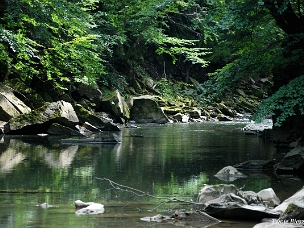 Rezerwat Sine Wiry przełom rzeki Wetlina między Zawojem i Polankami