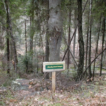 goloborze2003b Rabe, rezerwat "Gołoborze", 2003 (foto: P. Szechyński)