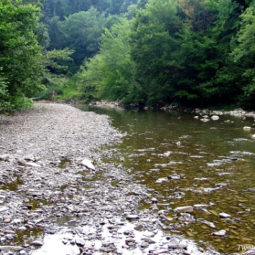 przelom2006e Przełom Osławy pod Duszatynem, 2006 (foto: P. Szechyński)