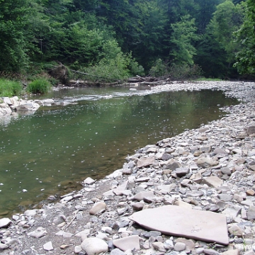 przelom2006g Przełom Osławy pod Duszatynem, na "czubku" omegi, 2006 (foto: P. Szechyński)