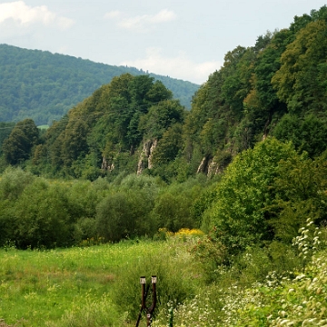 skalam2018h Skała Myczkowiecka, latem mocno zarośnięta (foto: P. Szechyński)