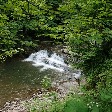 nas2019a Nasiczne, potok Nasiczniański, kaskady (foto: P. Szechyńśki)