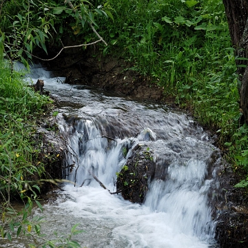 radziej2010a Radziejowa, niewielki wodospadzik (foto: P. Szechyńśki)