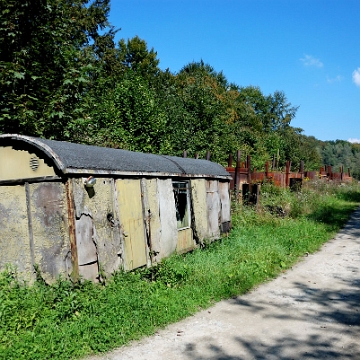 tworylne2016b Przy drodze Studenne - Zatwarnica, wypał węgla, 2016 (foto: P. Szechyński)